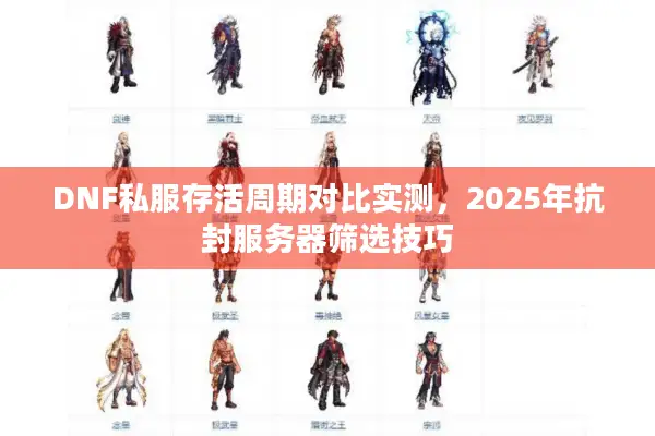 DNF私服存活周期对比实测，2025年抗封服务器筛选技巧