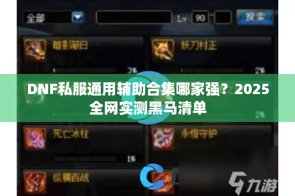 DNF私服通用辅助合集哪家强？2025全网实测黑马清单