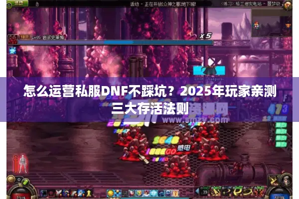 怎么运营私服DNF不踩坑？2025年玩家亲测三大存活法则