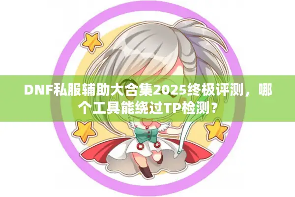 DNF私服辅助大合集2025终极评测，哪个工具能绕过TP检测？