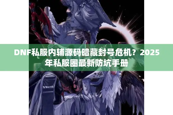 DNF私服内辅源码暗藏封号危机？2025年私服圈最新防坑手册