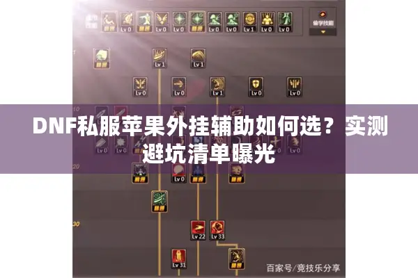 DNF私服苹果外挂辅助如何选？实测避坑清单曝光