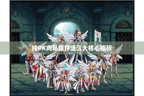 纯PK向私服存活三大核心指标