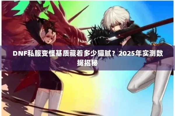 DNF私服变怪基质藏着多少猫腻？2025年实测数据揭秘