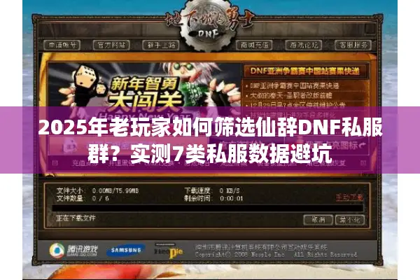 2025年老玩家如何筛选仙辞DNF私服群？实测7类私服数据避坑