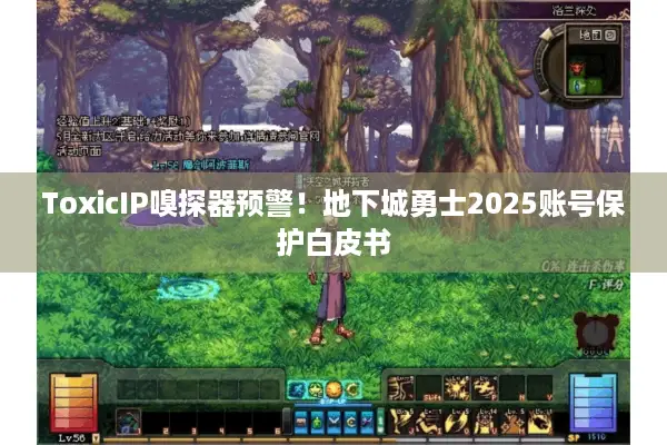 ToxicIP嗅探器预警！地下城勇士2025账号保护白皮书