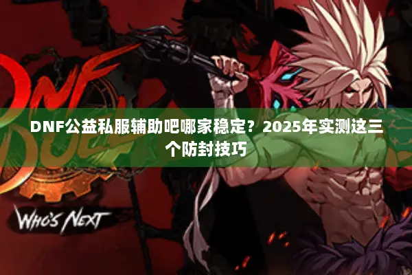DNF公益私服辅助吧哪家稳定？2025年实测这三个防封技巧