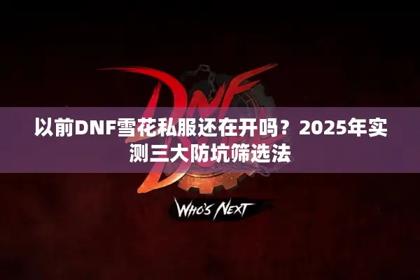 以前DNF雪花私服还在开吗？2025年实测三大防坑筛选法