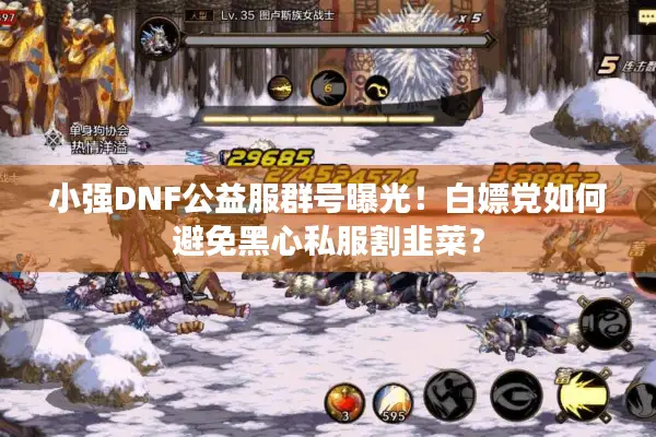 小强DNF公益服群号曝光！白嫖党如何避免黑心私服割韭菜？