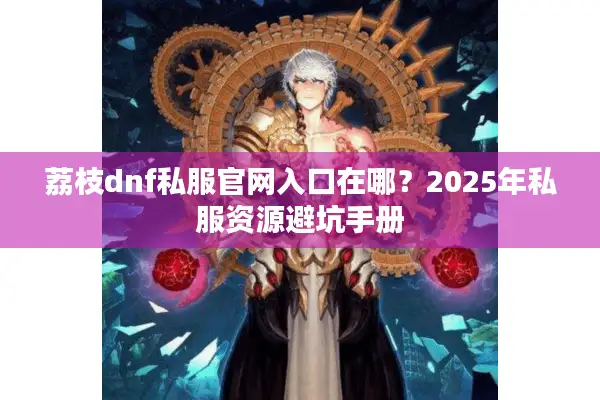 荔枝dnf私服官网入口在哪？2025年私服资源避坑手册