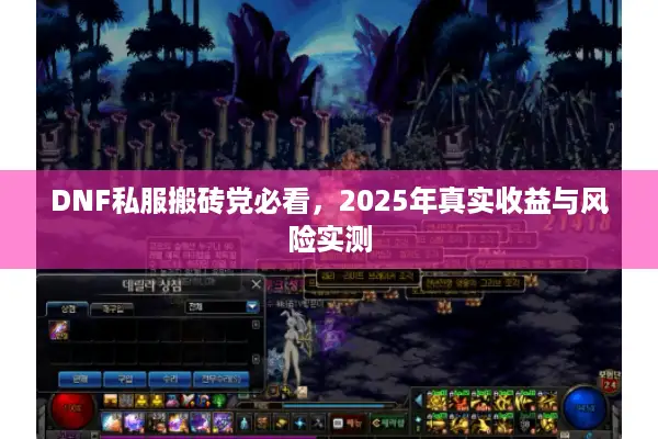 DNF私服搬砖党必看，2025年真实收益与风险实测