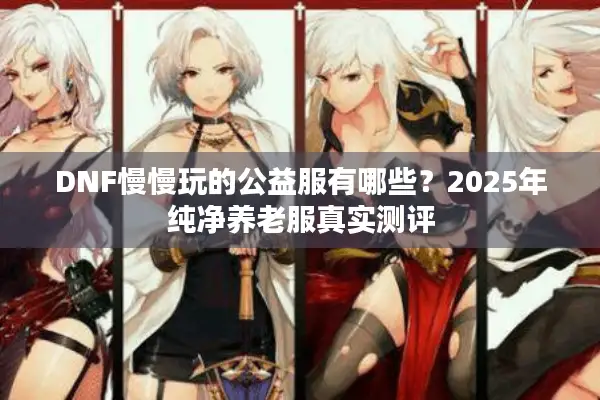 DNF慢慢玩的公益服有哪些？2025年纯净养老服真实测评
