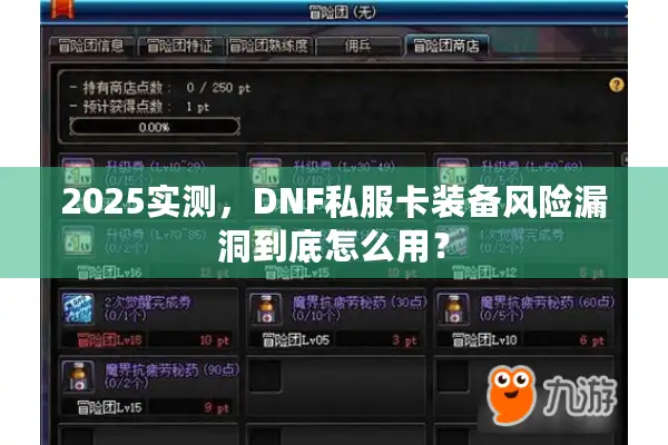 2025实测，DNF私服卡装备风险漏洞到底怎么用？