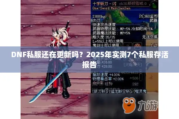 DNF私服还在更新吗？2025年实测7个私服存活报告