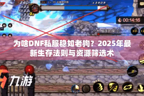 为啥DNF私服稳如老狗？2025年最新生存法则与资源筛选术