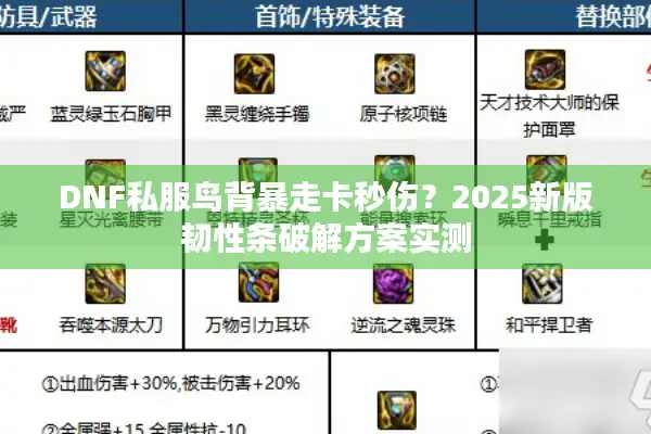 DNF私服鸟背暴走卡秒伤？2025新版韧性条破解方案实测