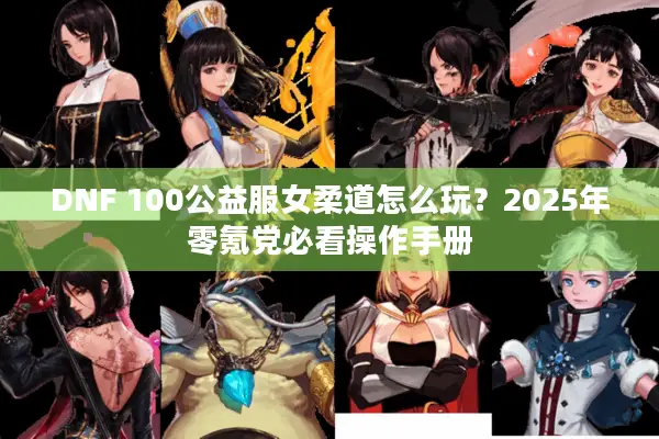 DNF 100公益服女柔道怎么玩？2025年零氪党必看操作手册