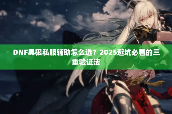 DNF黑狼私服辅助怎么选？2025避坑必看的三重验证法