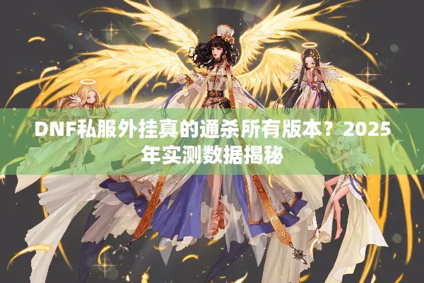 DNF私服外挂真的通杀所有版本？2025年实测数据揭秘