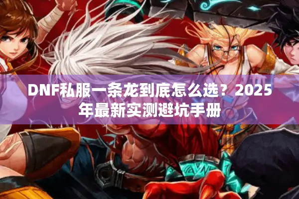 DNF私服一条龙到底怎么选？2025年最新实测避坑手册