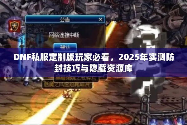 DNF私服定制版玩家必看，2025年实测防封技巧与隐藏资源库