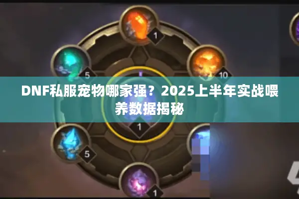 DNF私服宠物哪家强？2025上半年实战喂养数据揭秘