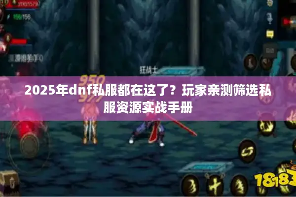 2025年dnf私服都在这了？玩家亲测筛选私服资源实战手册