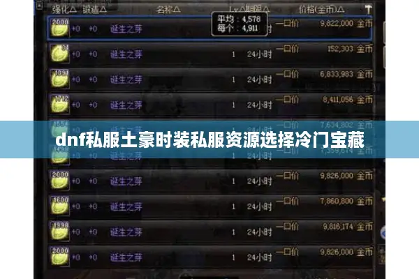 dnf私服土豪时装私服资源选择冷门宝藏