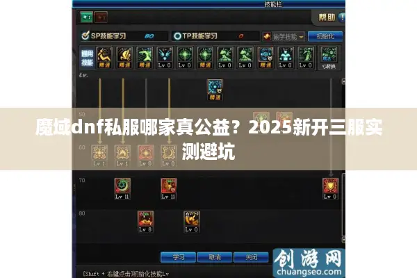 魔域dnf私服哪家真公益？2025新开三服实测避坑