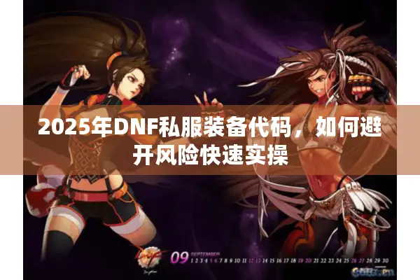 2025年DNF私服装备代码，如何避开风险快速实操