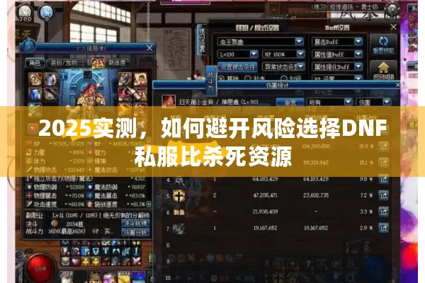 2025实测，如何避开风险选择DNF私服比杀死资源