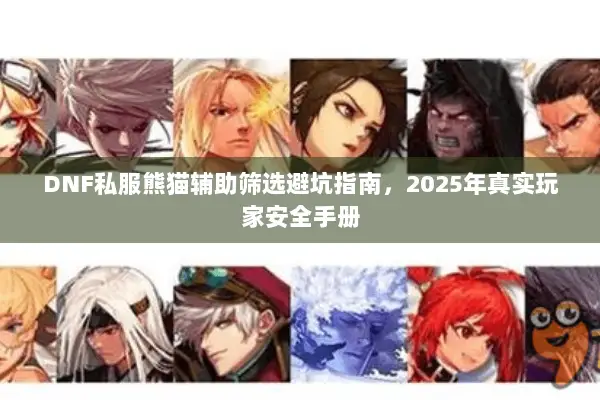 DNF私服熊猫辅助筛选避坑指南，2025年真实玩家安全手册