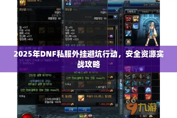 2025年DNF私服外挂避坑行动，安全资源实战攻略