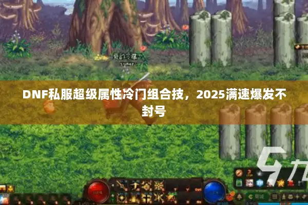 DNF私服超级属性冷门组合技，2025满速爆发不封号