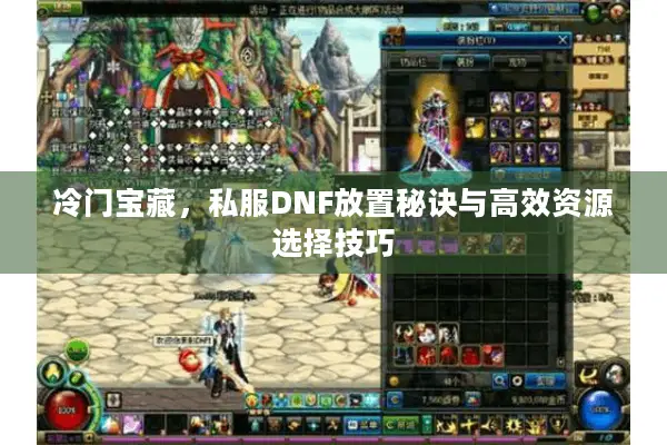 冷门宝藏，私服DNF放置秘诀与高效资源选择技巧