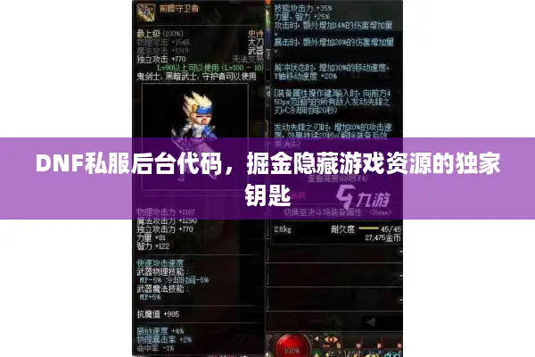 DNF私服后台代码，掘金隐藏游戏资源的独家钥匙