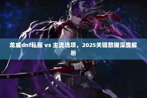 龙威dnf私服 vs 主流选项，2025关键数据深度解析