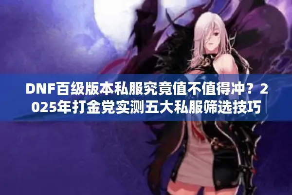 DNF百级版本私服究竟值不值得冲？2025年打金党实测五大私服筛选技巧
