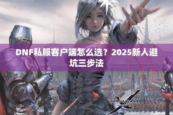 DNF私服客户端怎么选？2025新人避坑三步法