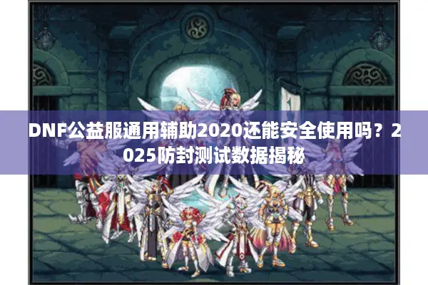 DNF公益服通用辅助2020还能安全使用吗？2025防封测试数据揭秘