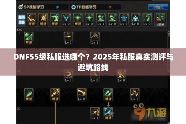 DNF55级私服选哪个？2025年私服真实测评与避坑路线