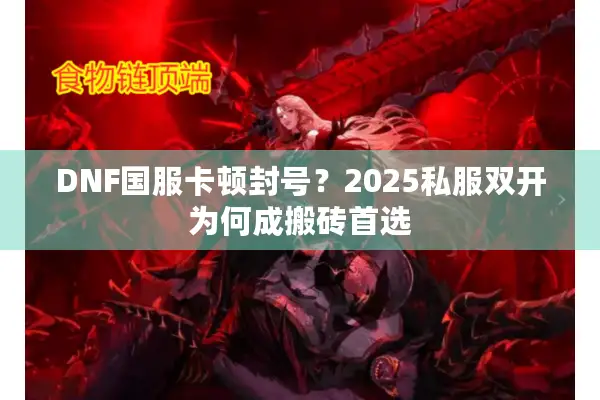 DNF国服卡顿封号？2025私服双开为何成搬砖首选