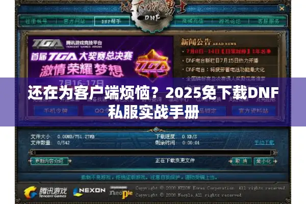 还在为客户端烦恼？2025免下载DNF私服实战手册