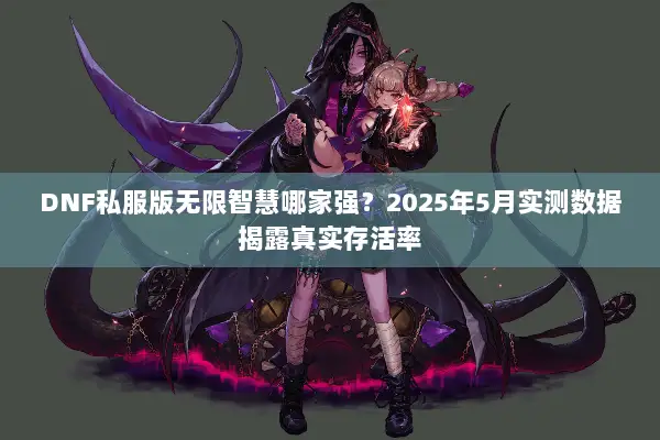 DNF私服版无限智慧哪家强？2025年5月实测数据揭露真实存活率