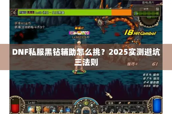 DNF私服黑钻辅助怎么挑？2025实测避坑三法则