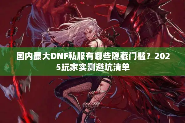 国内最大DNF私服有哪些隐藏门槛？2025玩家实测避坑清单