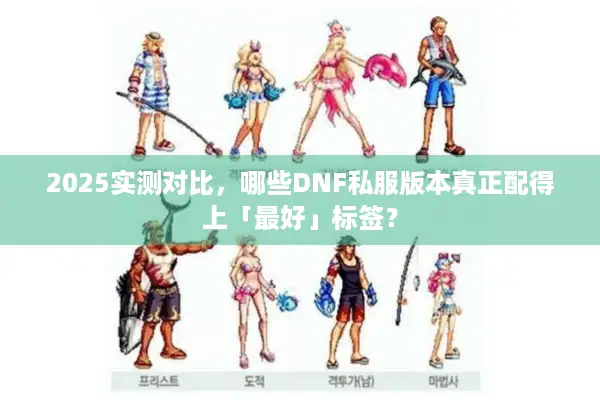 2025实测对比，哪些DNF私服版本真正配得上「最好」标签？