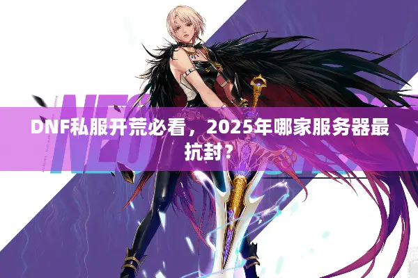 DNF私服开荒必看，2025年哪家服务器最抗封？