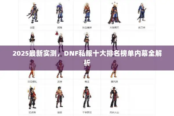 2025最新实测，DNF私服十大排名榜单内幕全解析