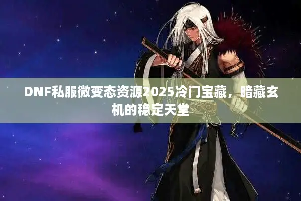 DNF私服微变态资源2025冷门宝藏，暗藏玄机的稳定天堂